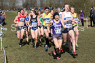 Senior womens 2019 British Athletics Inter Counties Cross Country, Prestwood Hall, Loughborough. Photo:  David T. Hewitson/Sports for All Pics